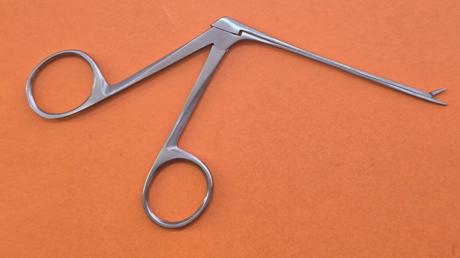 Turtle Surgical House Alligator Ear Forceps 3" x 4mm serrated Jaws