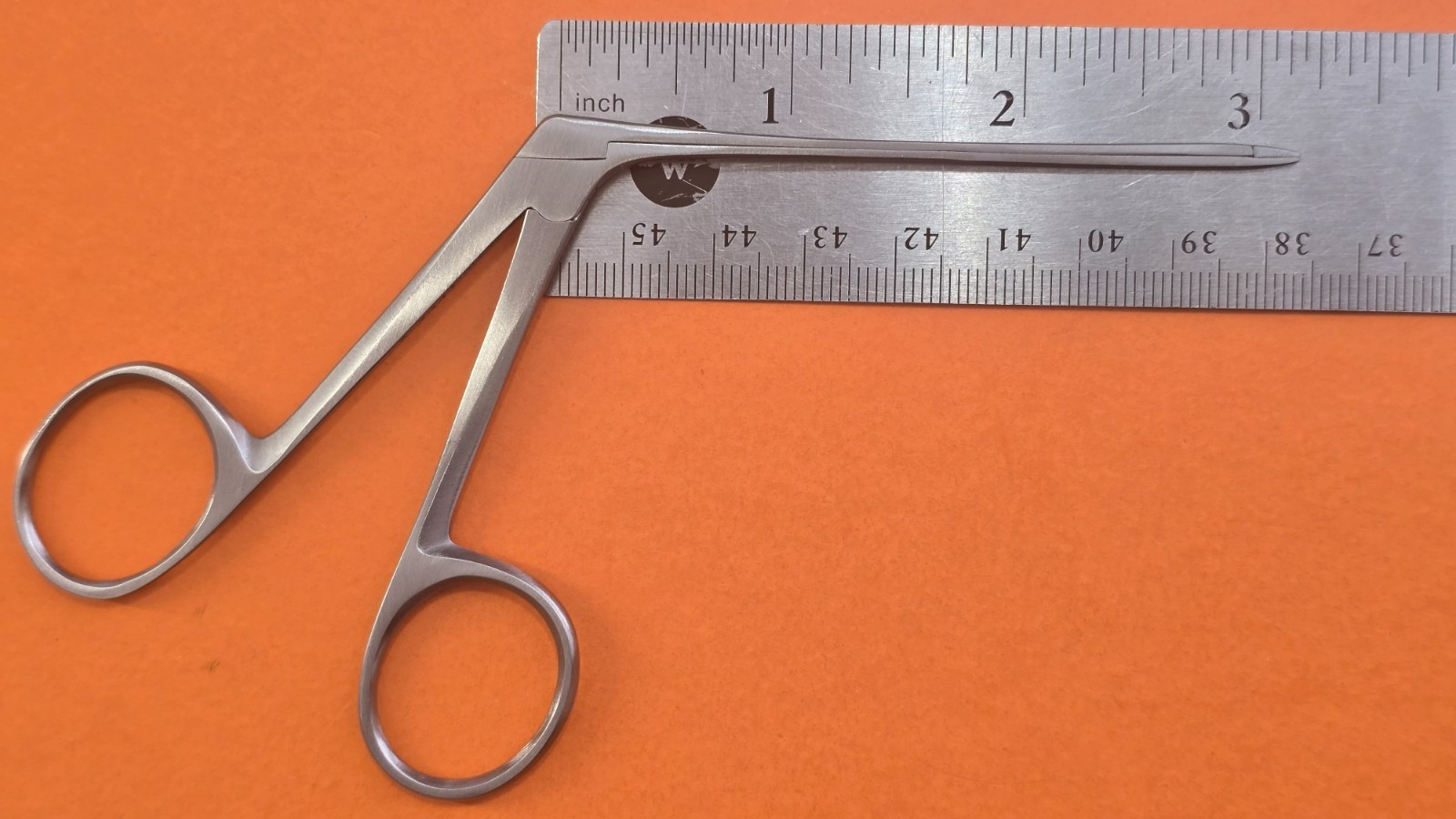 Turtle Surgical House Alligator Ear Forceps 3" x 4mm serrated Jaws