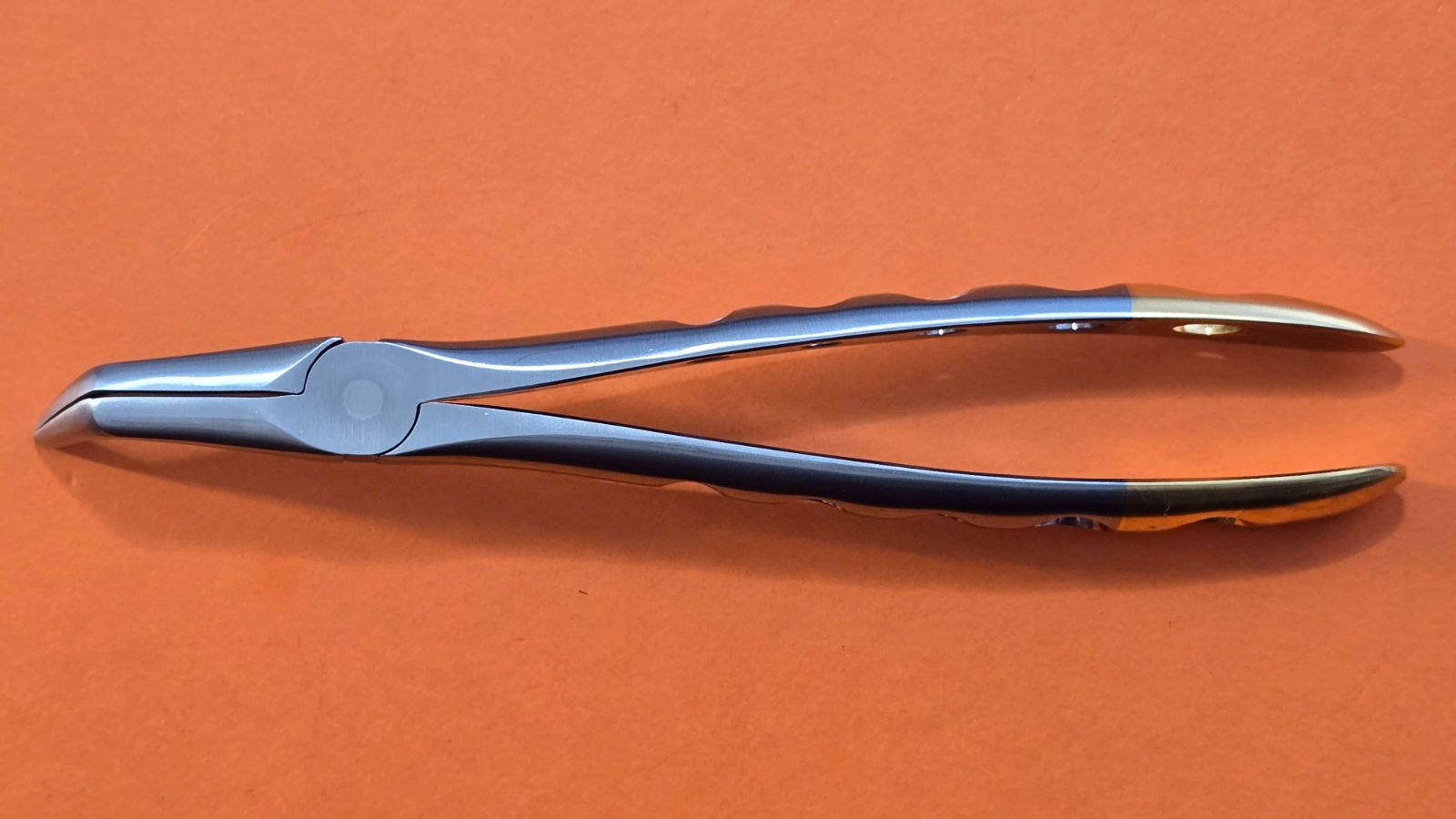 Turtle Lower Root Dental Extracting Forceps 46XL Diamond Dust