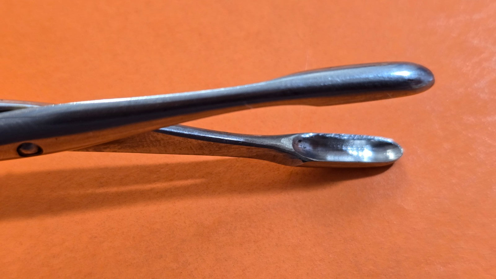 V. Mueller Surgical Polypus Nasal Forceps 7" Jaws 5 x 12mm