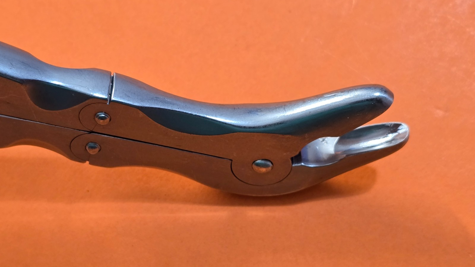 Konig Stille Rongeurs 10mm x12cm Size 9" Double Action Surgical Instruments