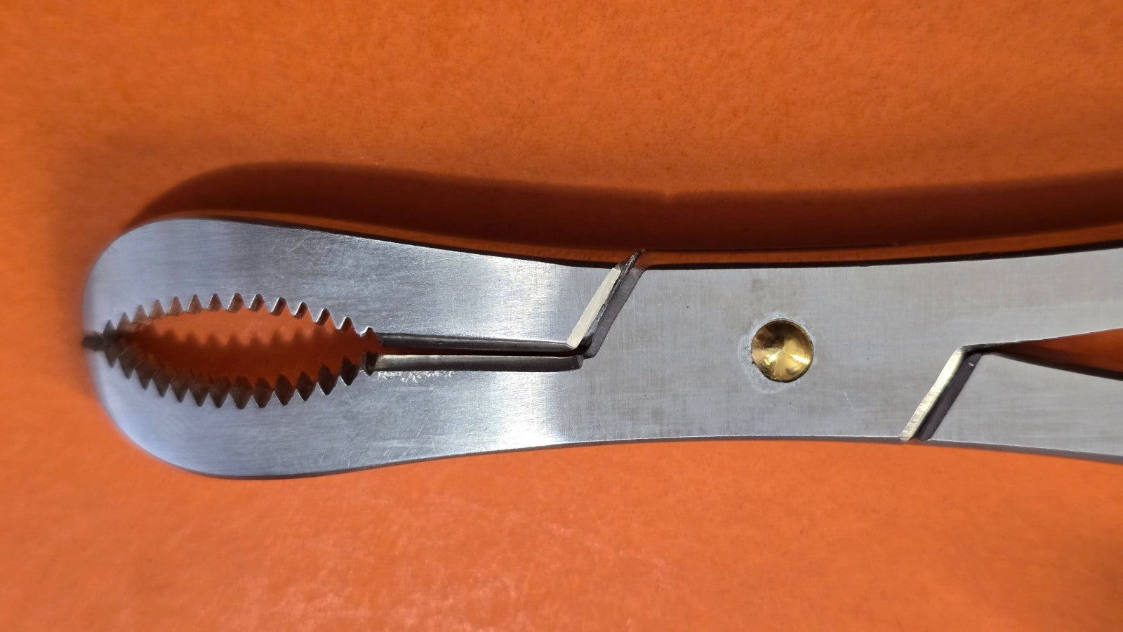 Turtle Surgical Bone Reduction Forceps 8" Curved Jaws with Speed Lock