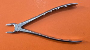Turtle Lower Universal Dental Extracting Forceps F3