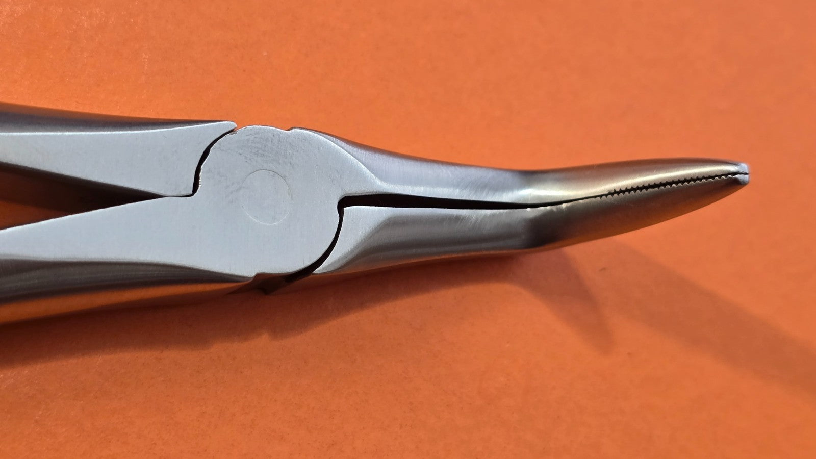Turtle Dental Extracting Forceps #46XL Lower Root Tip