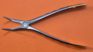 Turtle Lower Root Dental Extracting Forceps 46XL Diamond Dust