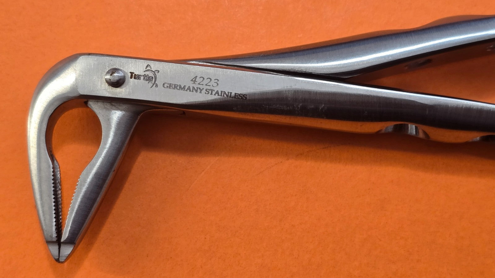 Turtle Dental Atraumatic Extracting Forceps #4223