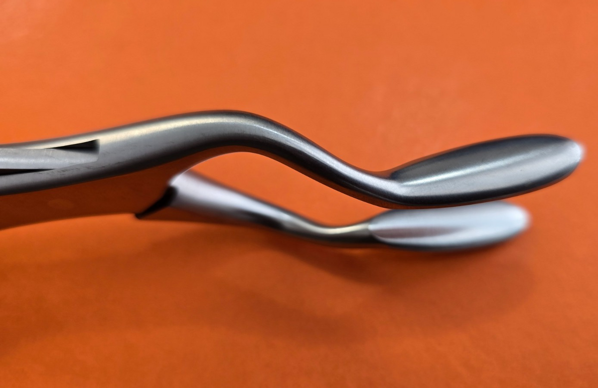 V. Mueller RH 1753 Surgical Septum Forceps 9" Straight