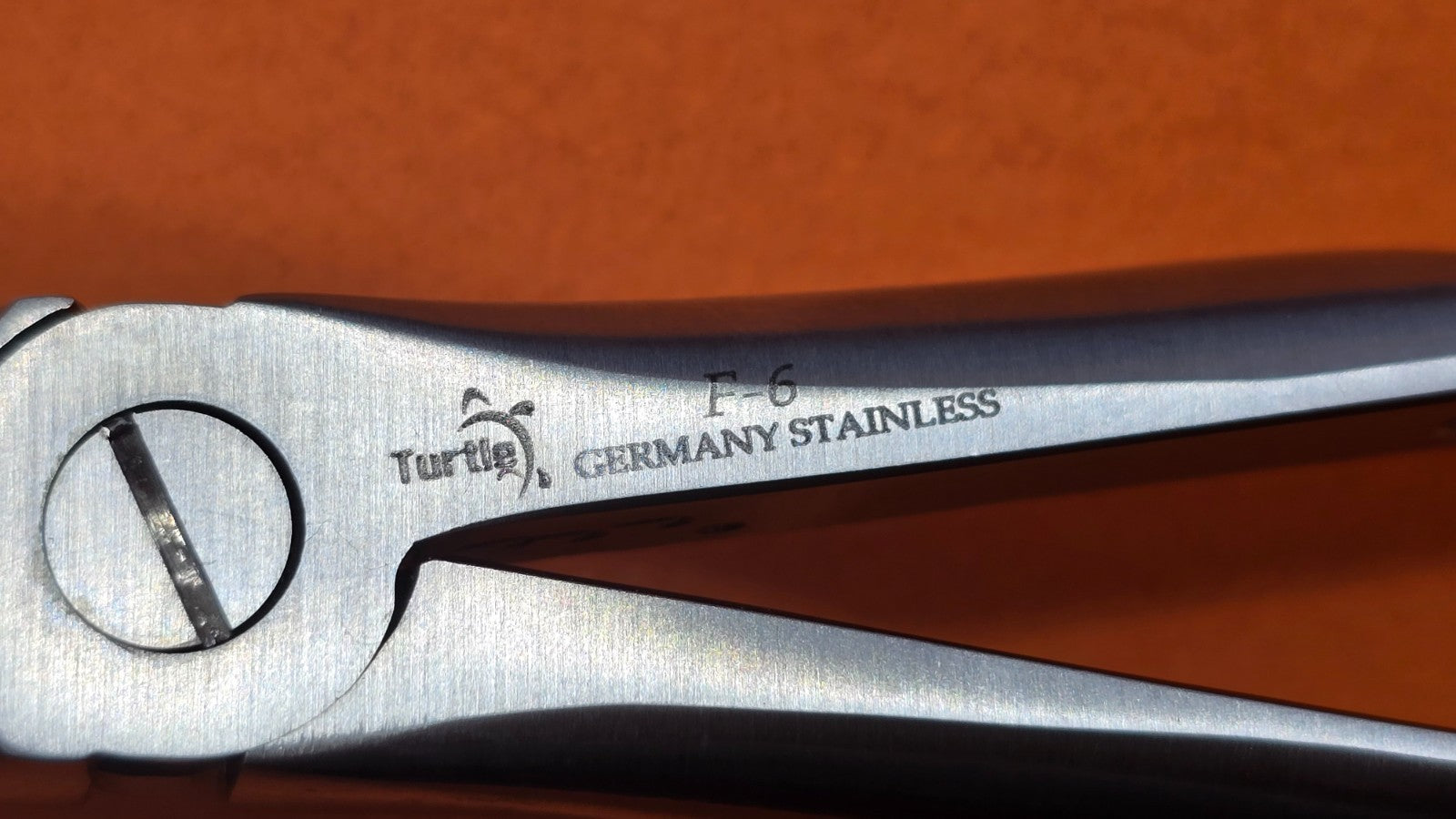 Turtle Dental Extracting Forceps F-6 Wide Beak Upper 3rd Molars