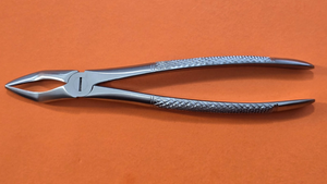 Turtle Dental Extracting Forceps #44
