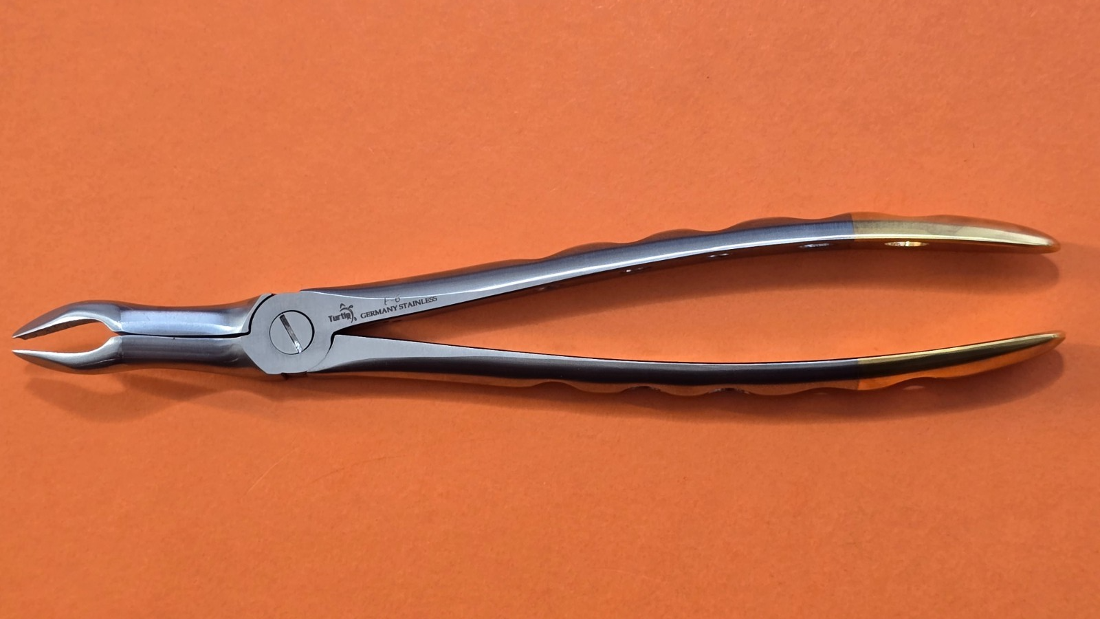 Turtle Dental Extracting Forceps F-6 Wide Beak Upper 3rd Molars