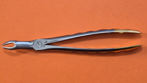 Turtle Dental Extracting Forceps F-6 Wide Beak Upper 3rd Molars