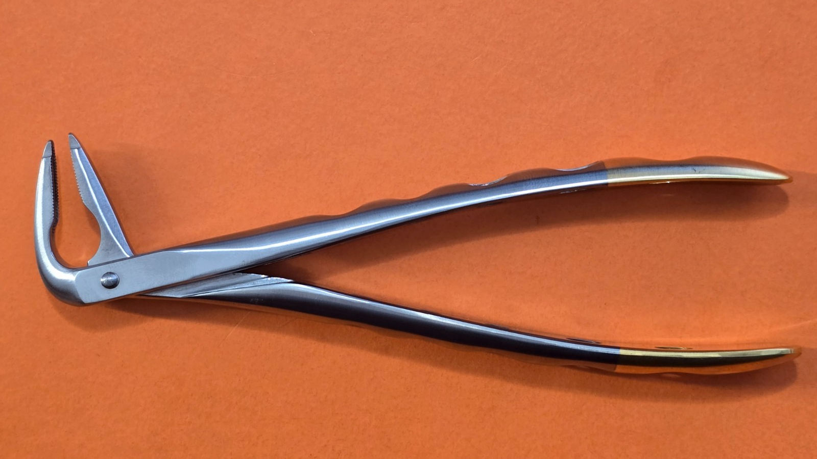 Turtle Dental Atraumatic Extracting Forceps #4223