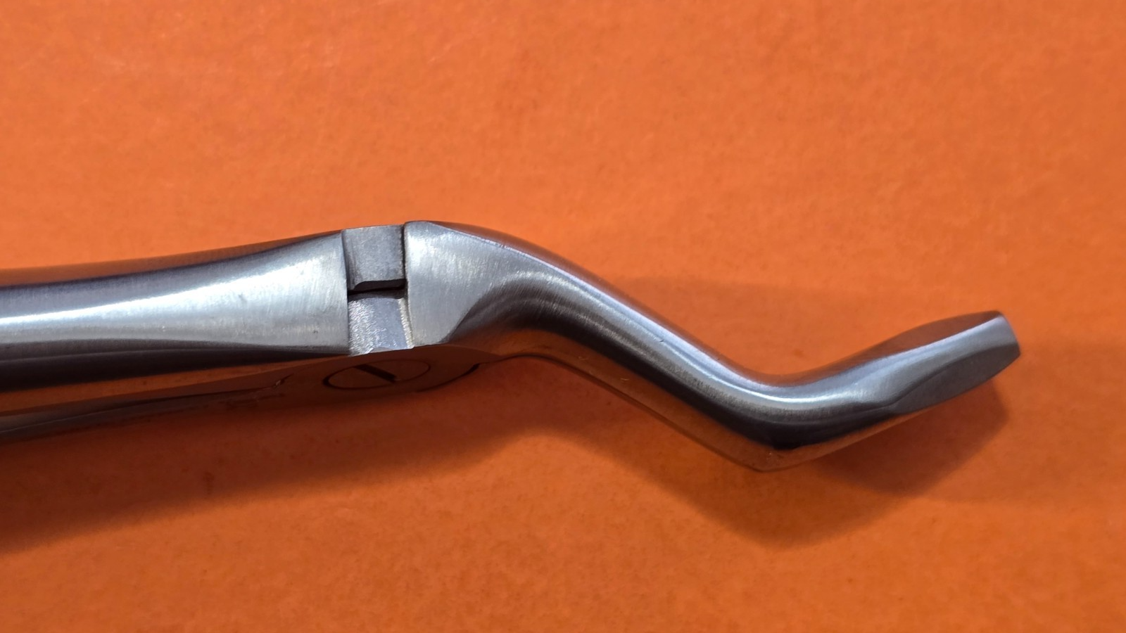 Turtle Dental Extracting Forceps F-6 Wide Beak Upper 3rd Molars