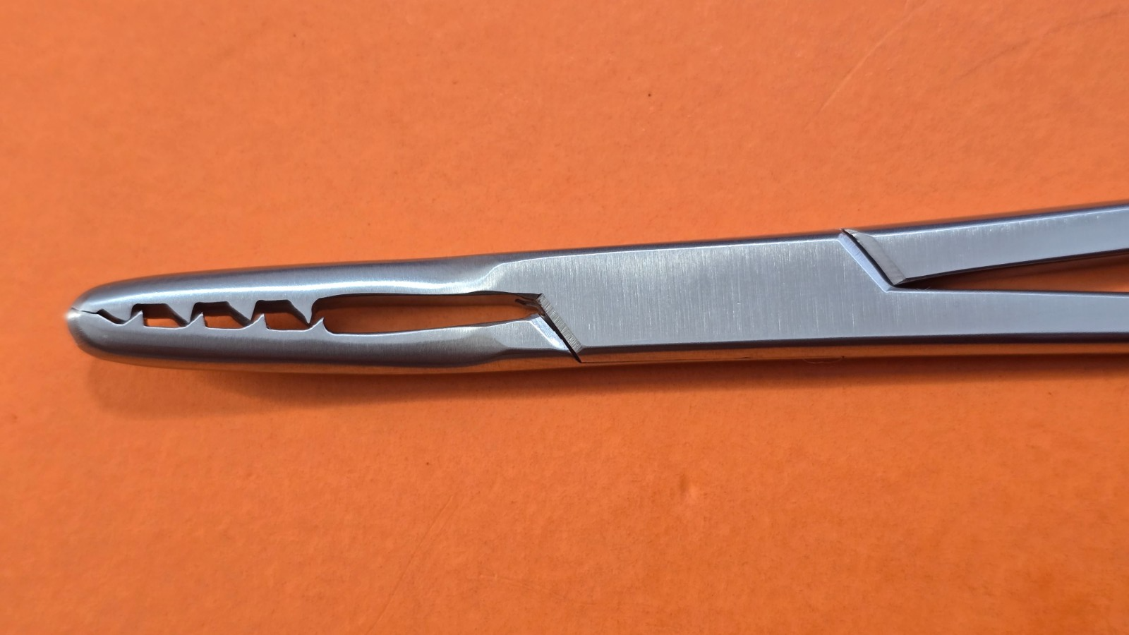Turtle Surgical Martin Cartilage Holding Forceps 8" Curved Jaw w- Ratchet
