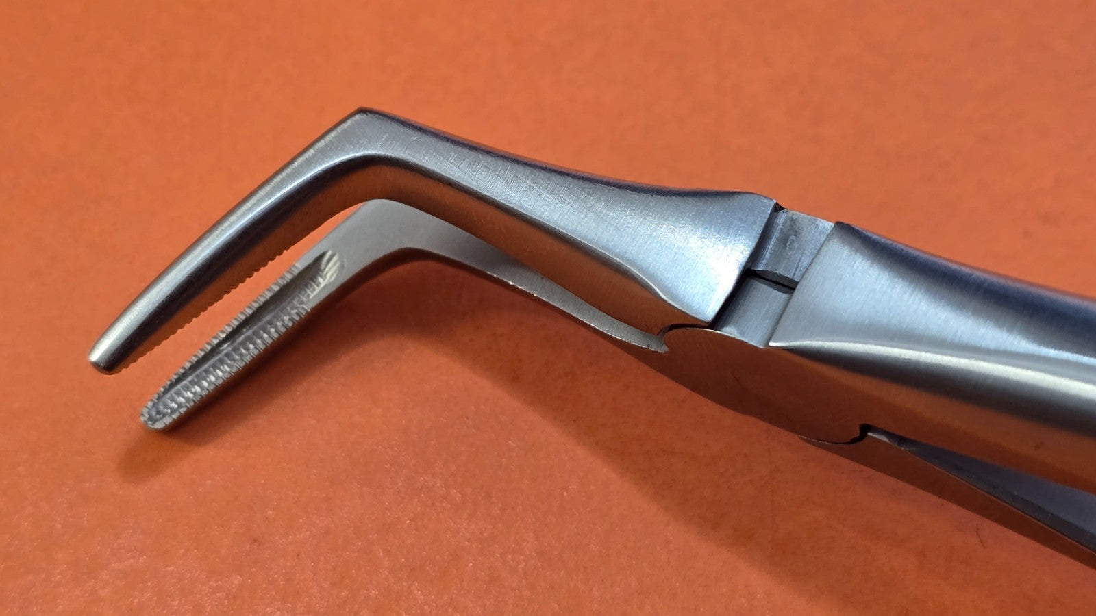 Turtle Dental Extracting Forceps #46XL Lower Root Tip