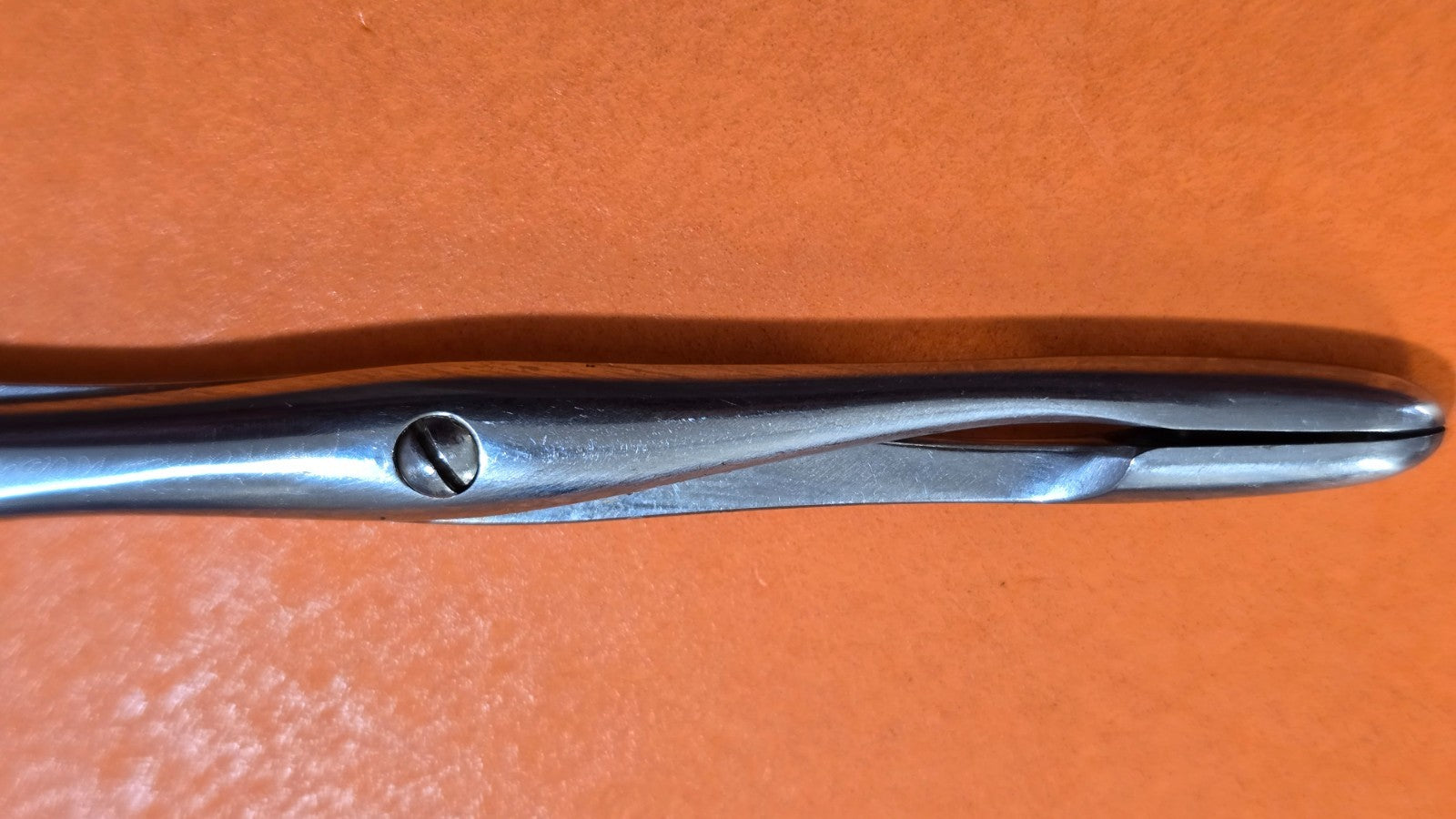 V. Mueller Surgical Polypus Nasal Forceps 7" Jaws 5 x 12mm