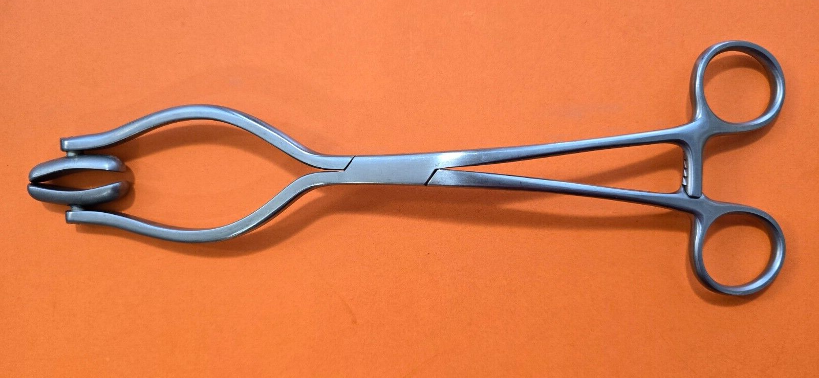V. Mueller GL 3035 Surgical Buxton Uterine Clamp Forceps 10"