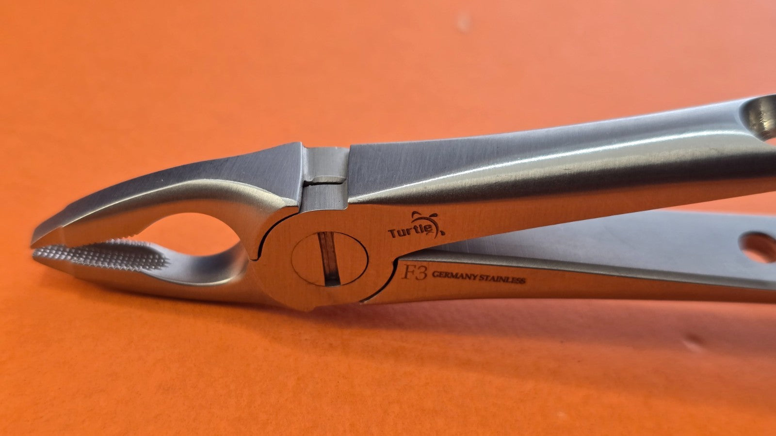 Turtle Lower Universal Dental Extracting Forceps F3