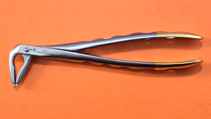 Turtle Dental Atraumatic Extracting Forceps #4223