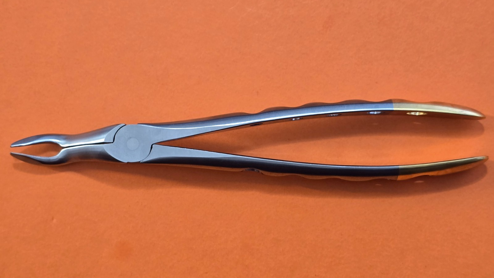 Turtle Dental Extracting Forceps F-6 Wide Beak Upper 3rd Molars