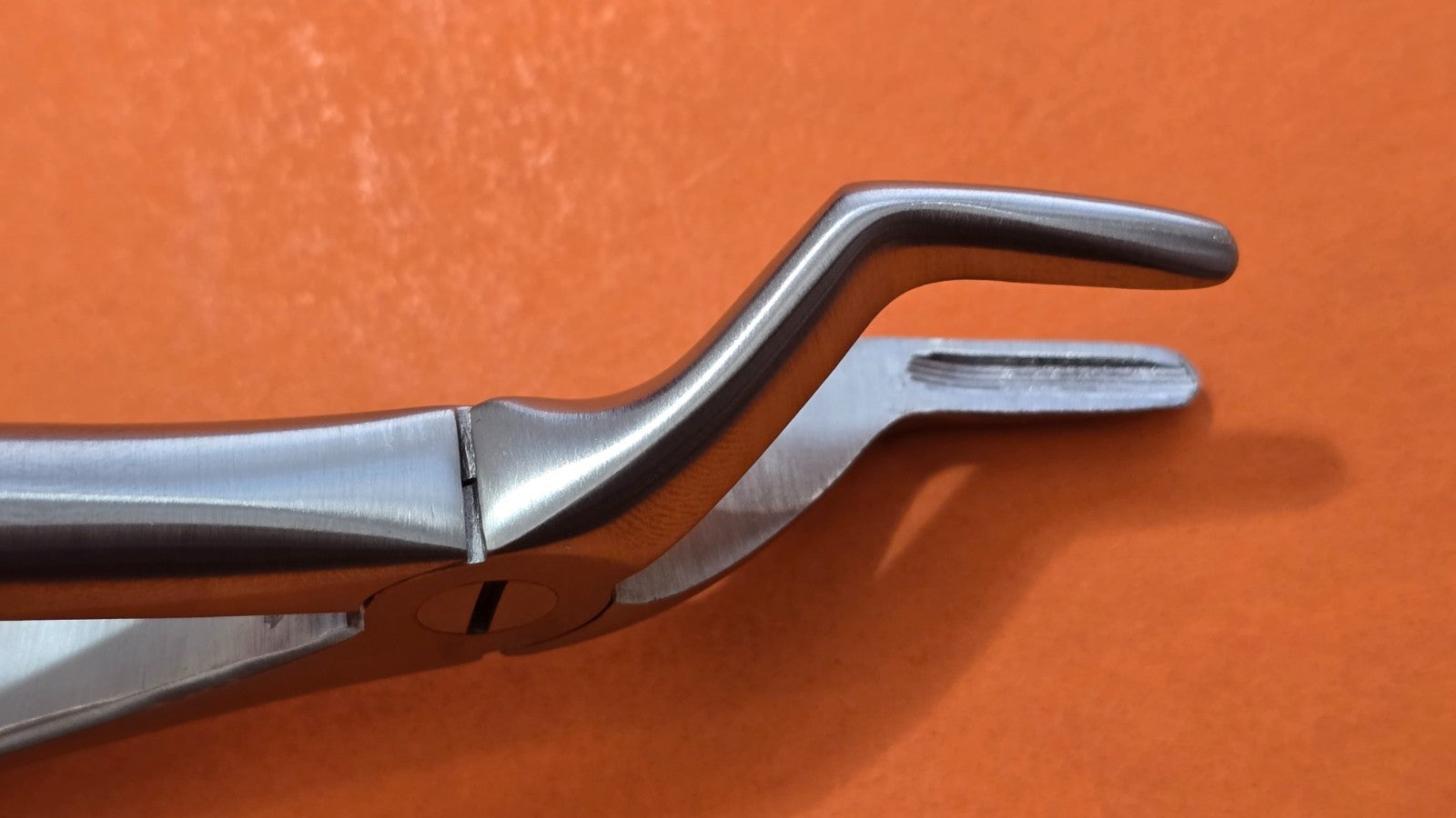 Turtle Dental Extracting Forceps #44