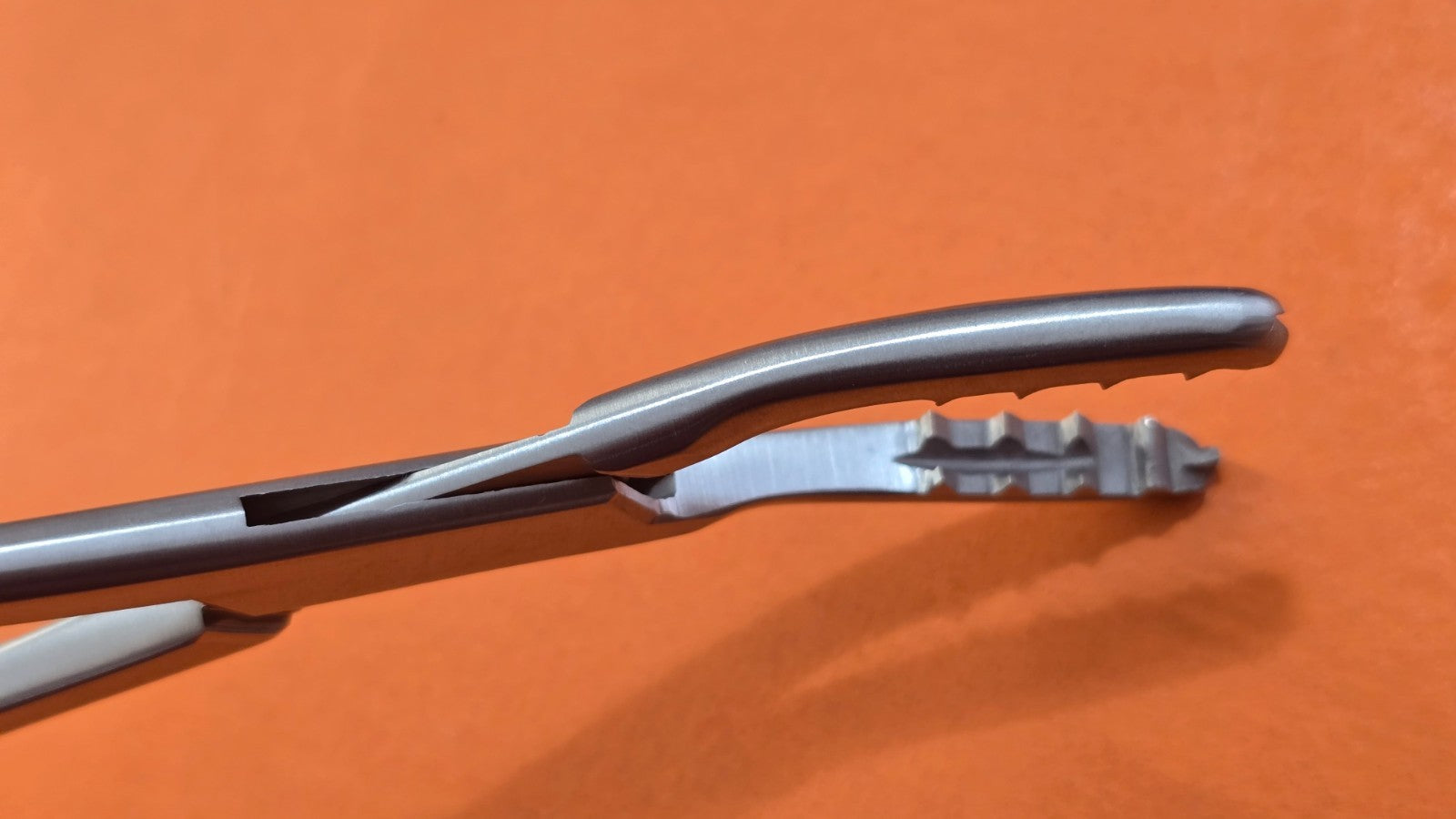Turtle Surgical Martin Cartilage Holding Forceps 8" Curved Jaw w- Ratchet