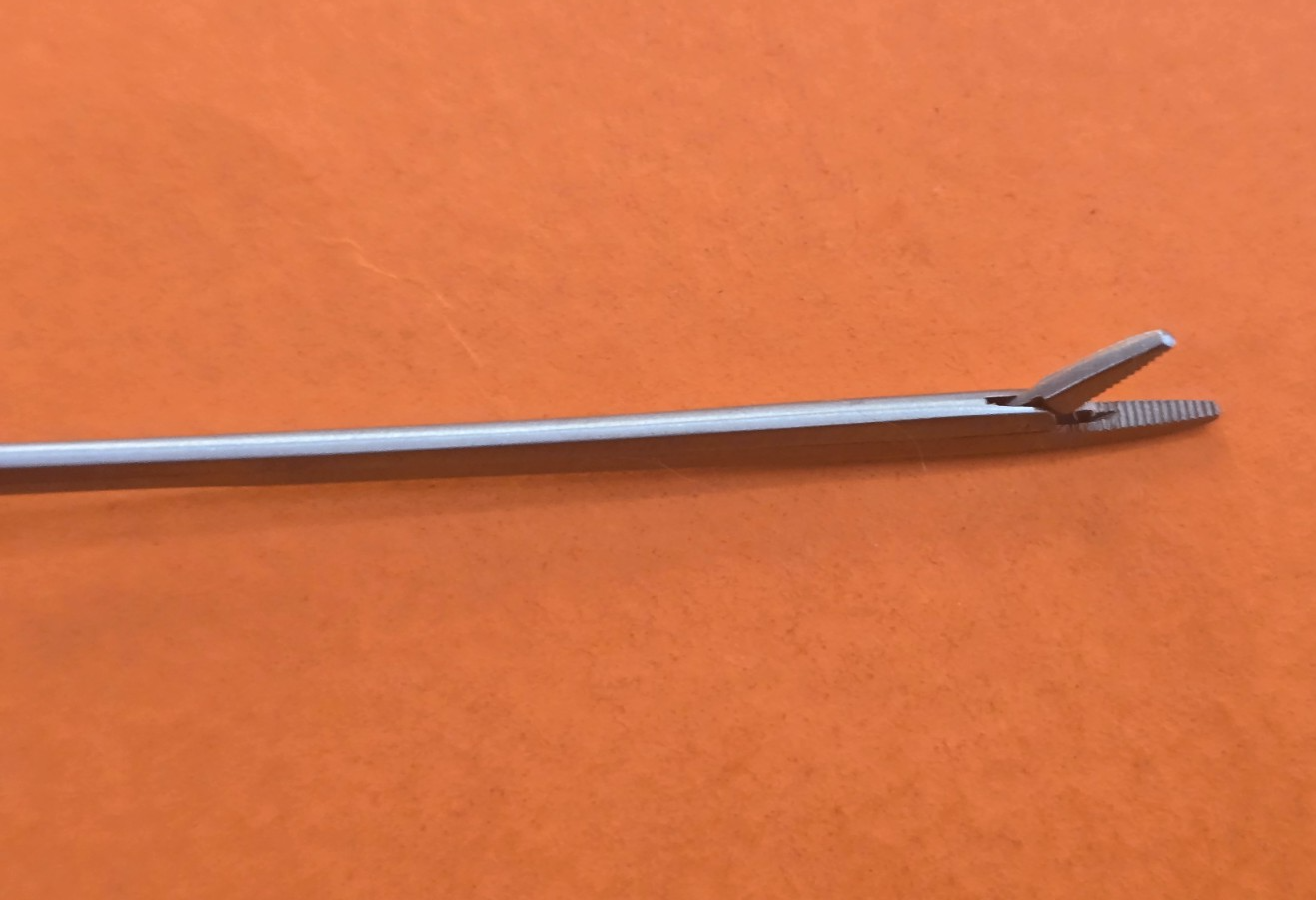 Turtle Surgical House Alligator Ear Forceps 3"  x 4mm serrated Jaws