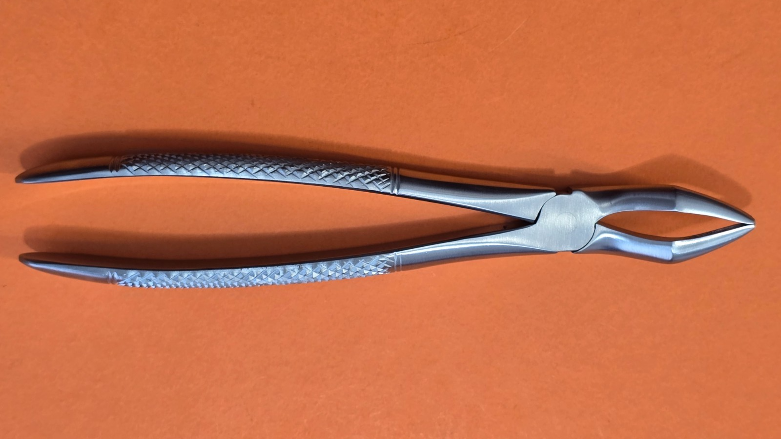 Turtle Dental Extracting Forceps #44